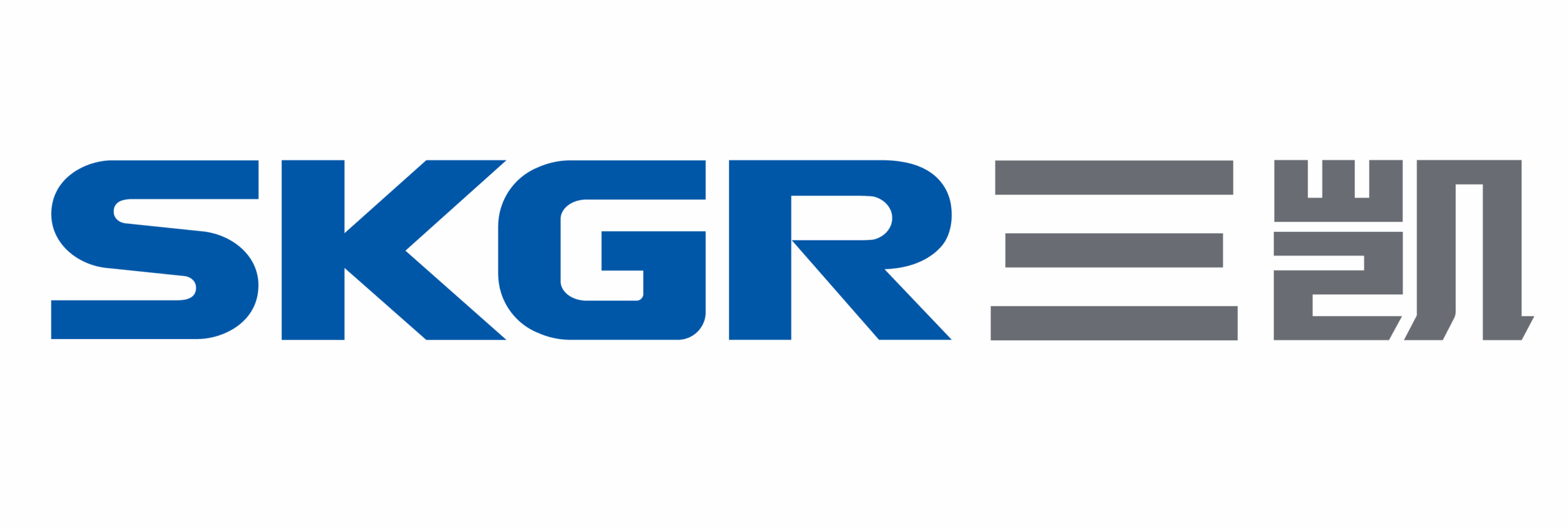 SKGR FRANCE